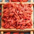 Organic dried lycium barbarum fruit for skin